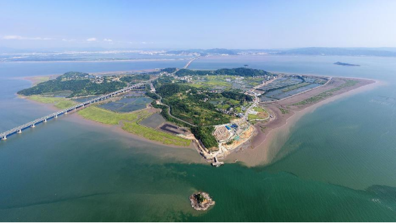 浙江科技大学理学院暑期社会实践团擦亮生态底色，挺膺青年担当