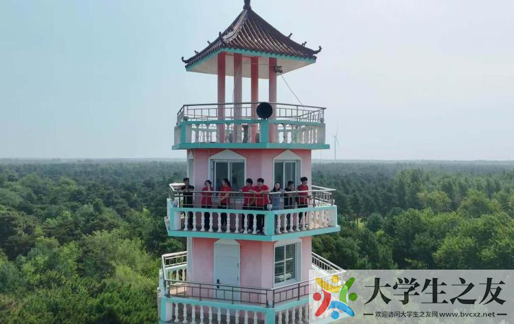 走进万亩松林海 书写青春绿色答卷—东北大学材料学院实践团赴康平开展“美丽中国·青春行动”生态实践