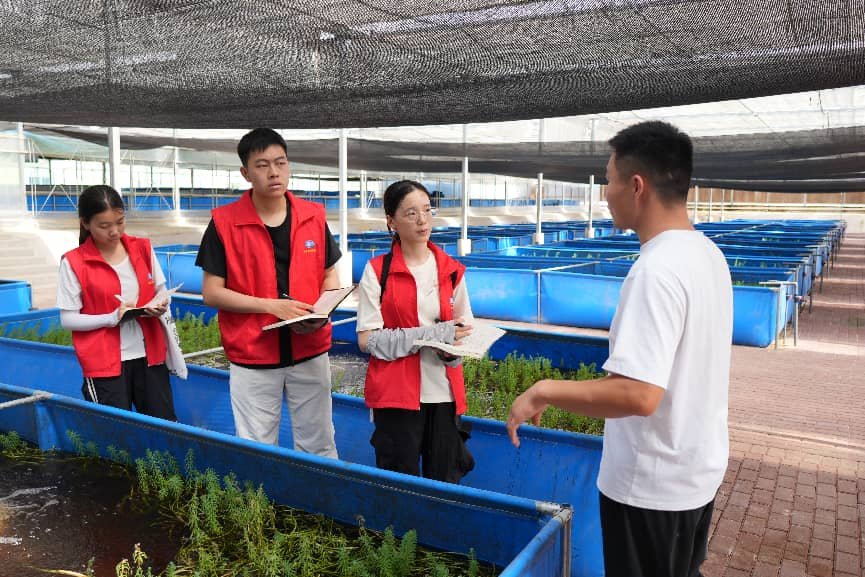 走进水乡乔口！湖财学子调研荷花虾，探寻特色产业振兴之路